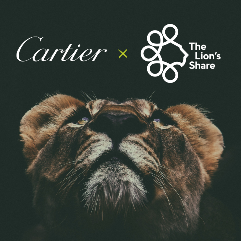 Cartier siberian cheap